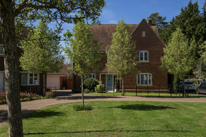 Photo 2- click for photo gallery